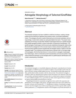 Astragalar Morphology of Selected Giraffidae