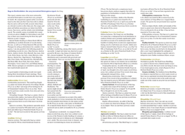 2016 Trans. Herts. Nat. Hist. Soc. 48(1) 2016 87 Scutelleridae (Plant Bugs) Gray, J