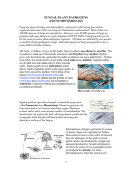 Fungal Plant Pathogens and Symptomology