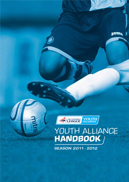 Handbook Youth Alliance