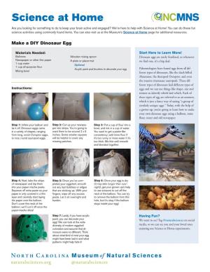 Make a DIY Dinosaur Egg (PDF)