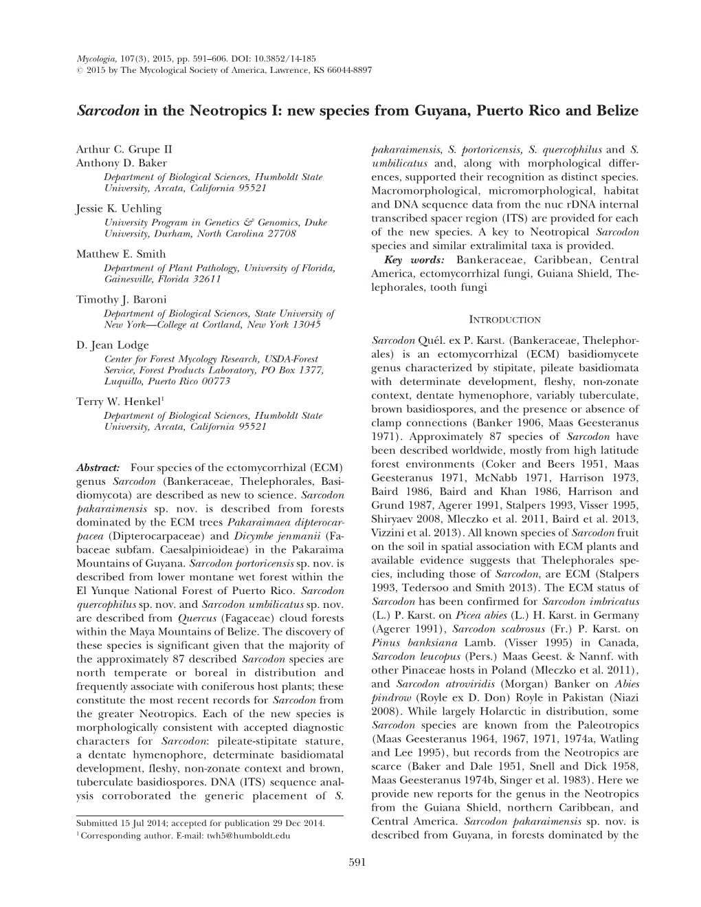 Sarcodon in the Neotropics I. New Species From