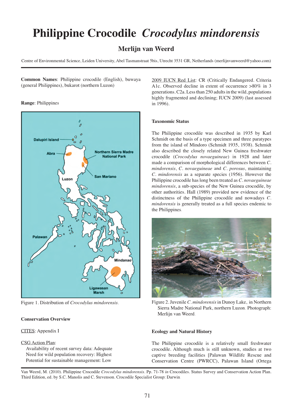 Philippine Crocodile Crocodylus Mindorensis Merlijn Van Weerd