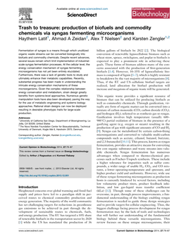 Trash to Treasure: Production of Biofuels and Commodity Chemicals Via Syngas Fermenting Microorganisms