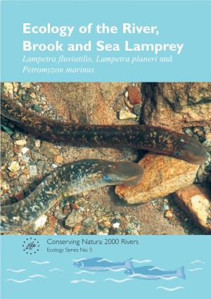 Ecology of the River, Brook and Sea Lamprey Lampetra Fluviatilis, Lampetra Planeri and Petromyzon Marinus
