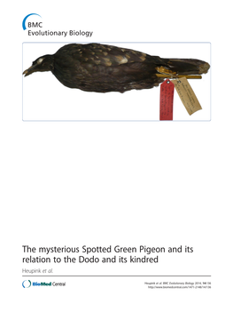 The Mysterious Spotted Green Pigeon and Its Relation to the Dodo and Its Kindred Heupink Et Al