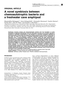 A Novel Symbiosis Between Chemoautotrophic Bacteria and a Freshwater Cave Amphipod