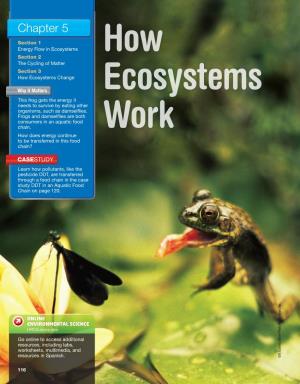 Chapter 5 Hmdscience.Com EN Online Vir Onmental Science Work Ecosystems How
