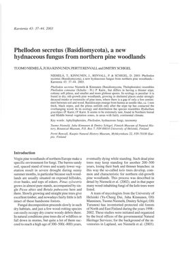 Phellodon Secretus (Basidiomycota ), a New Hydnaceous Fungus.From Northern Pine Woodlands