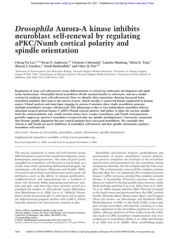 Drosophila Aurora-A Kinase Inhibits Neuroblast Self-Renewal by Regulating Apkc/Numb Cortical Polarity and Spindle Orientation