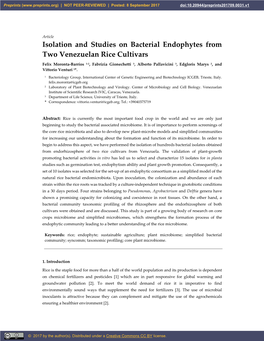 Isolation and Studies on Bacterial Endophytes from Two Venezuelan Rice Cultivars