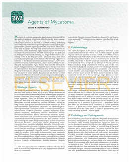 Agents of Mycetoma