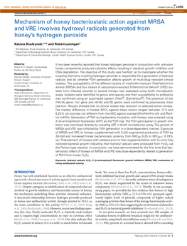 Mechanism of Honey Bacteriostatic Action Against MRSA and VRE Involves Hydroxyl Radicals Generated from Honey’S Hydrogen Peroxide