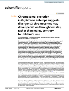 Chromosomal Evolution in Raphicerus Antelope Suggests Divergent X