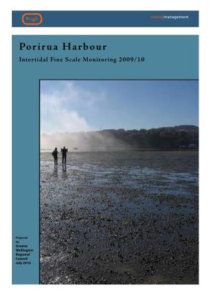 Porirua Harbour Intertidal Fine Scale Monitoring 2009/10