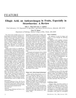 "Ellagic Acid, an Anticarcinogen in Fruits, Especially in Strawberries: a Review"