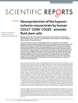 Neuroprotection of the Hypoxic-Ischemic Mouse Brain By