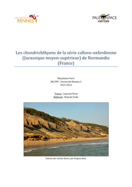 Les Chondrichthyens De La Se Rie Callovo-Oxfordienne (Jurassique Moyen-Supe Rieur) De Normandie (France)