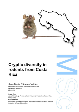 Cryptic Diversity in Rodents from Costa Rica