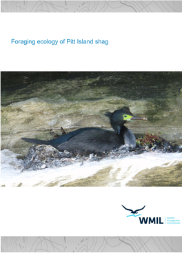 Foraging Ecology of Pitt Island Shag