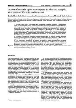 Action of Suramin Upon Ecto-Apyrase Activity and Synaptic Depression Of