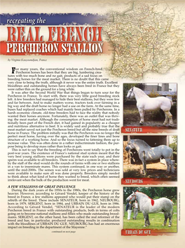 For Many Years, the Conventional Wisdom on French-Bred Percheron