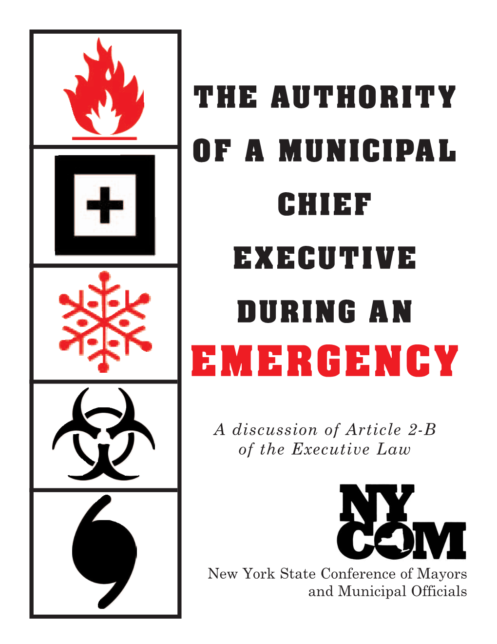 Authority of Municipal Chief Executive During an Emergency