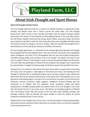 About Irish Horses