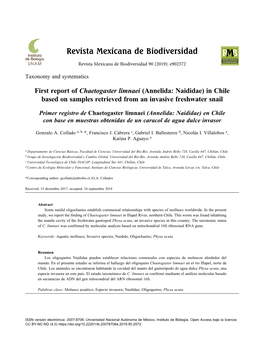 Primer Registro De Chaetogaster Limnaei (Annelida: Naididae) En Chile Con Base En Muestras Obtenidas De Un Caracol De Agua Dulce Invasor