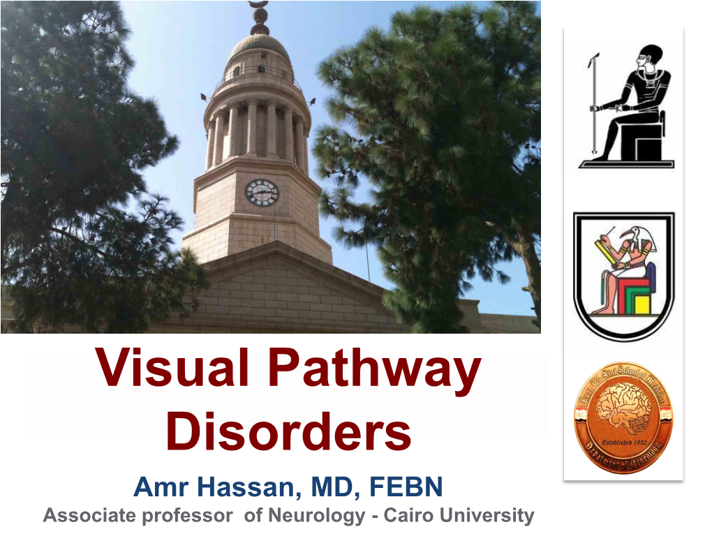 VISUAL FIELD Pathway Extends from the „Front‟ to the „Back‟ of the RETINA Brain