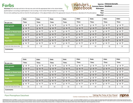 Plant Phenophase Datasheet Contact: Nco@Usanpn.Org | More Information