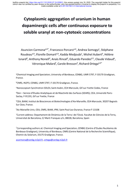 Cytoplasmic Aggregation of Uranium in Human Dopaminergic Cells After Continuous Exposure to Soluble Uranyl at Non-Cytotoxic Concentrations