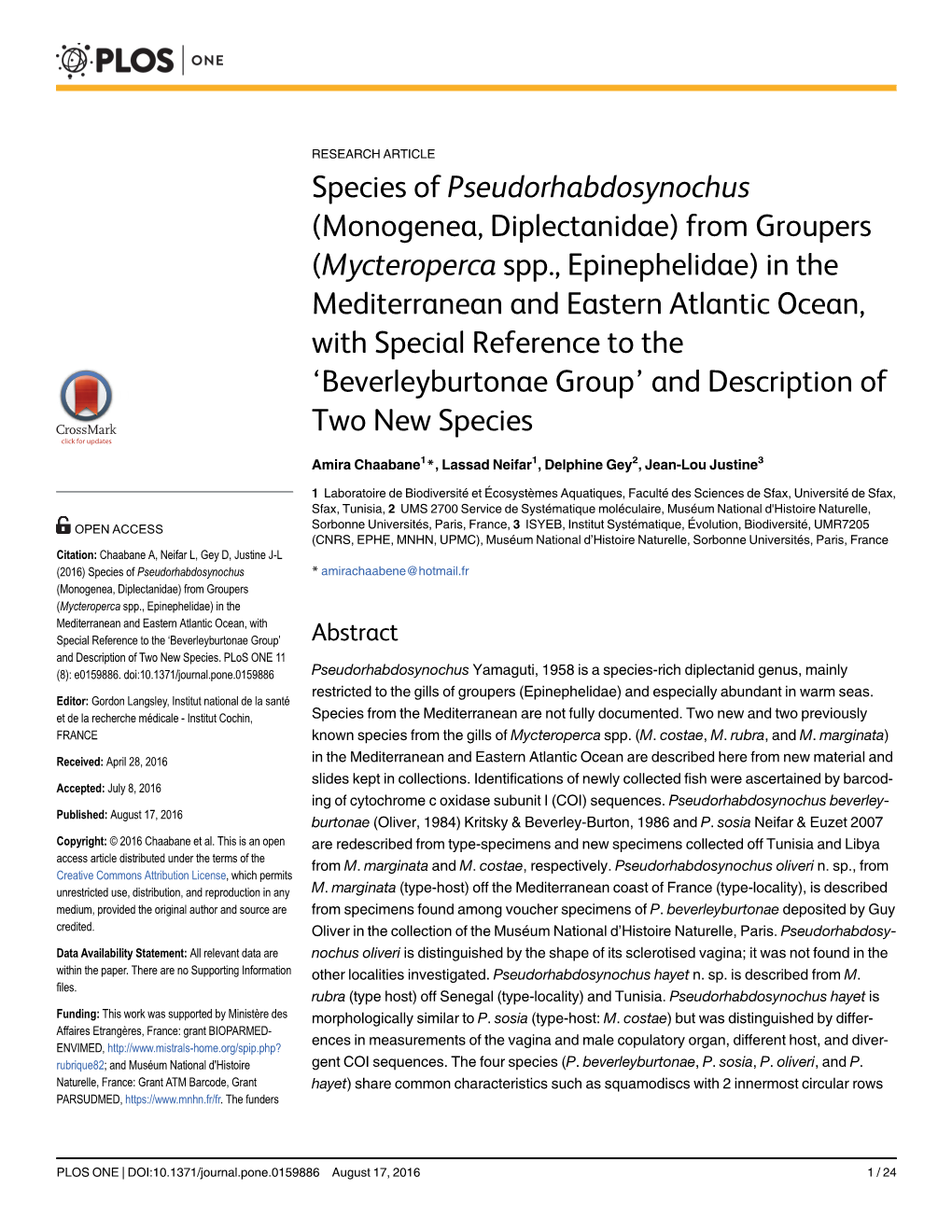 Species of Pseudorhabdosynochus (Monogenea, Diplectanidae) From