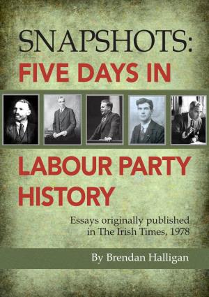 Five Days in Labour Party History by Brendan