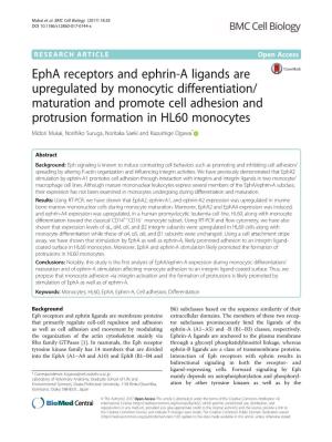 Epha Receptors and Ephrin-A Ligands Are Upregulated by Monocytic