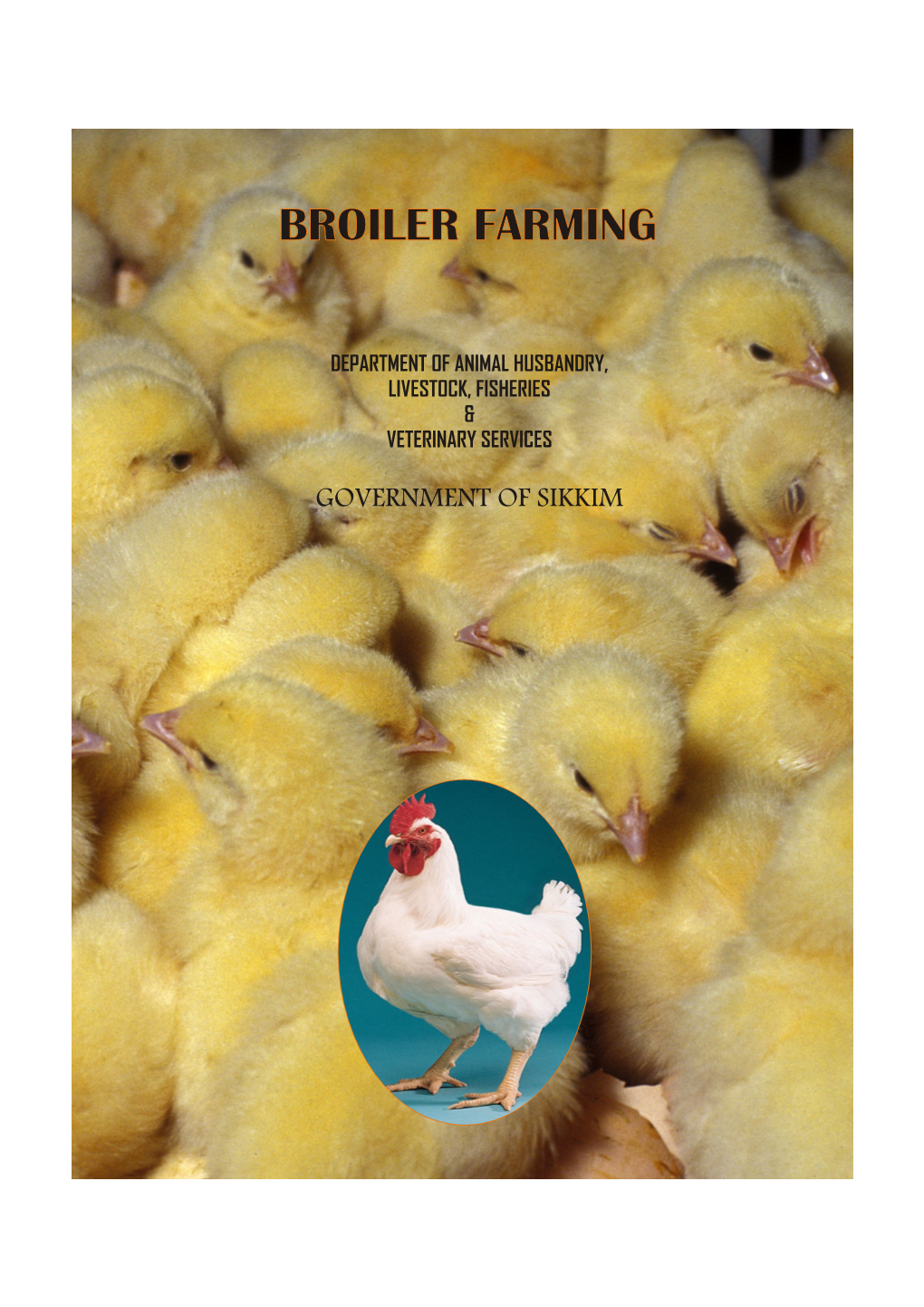 Broiler Booklet