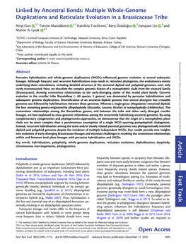 Linked by Ancestral Bonds: Multiple Whole-Genome Duplications And