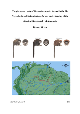 The Phylogeography of Cheracebus Species Located in the Rio Negro Basin and Its Implications for Our Understanding of the Historical Biogeography of Amazonia