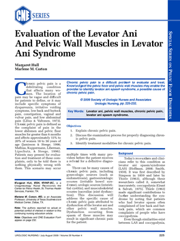 Evaluation of the Levator Ani and Pelvic Wall Muscles in Levator Ani Syndro M E