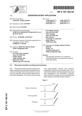 European Patent Office EP2157183 A1