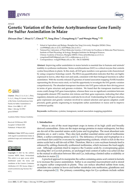 Genetic Variation of the Serine Acetyltransferase Gene Family for Sulfur Assimilation in Maize