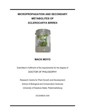 Micropropagation and Secondary Metabolites of Sclerocarya Birrea