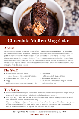 Infused Chocolate Molten Mug Cake Recipe FINAL 2