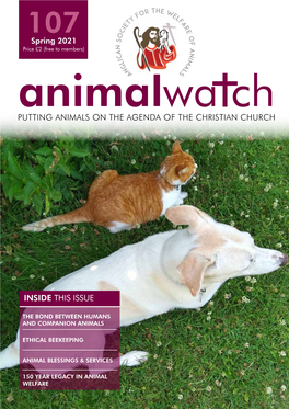 Animal Watch Issue