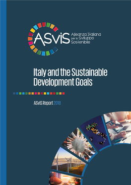 Italy and the Sustainable Development Goals