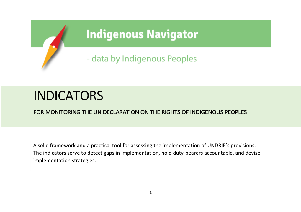 Indicators for Monitoring the Un Declaration on the Rights of Indigenous Peoples
