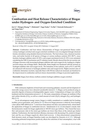 Combustion and Heat Release Characteristics of Biogas Under Hydrogen- and Oxygen-Enriched Condition