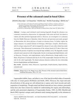 Presence of the Calcaneal Canal in Basal Glires