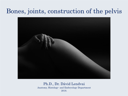 Bones, Joints, Construction of the Pelvis