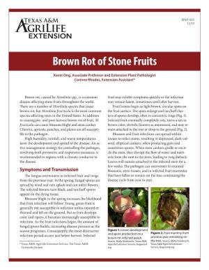 Brown Rot of Stone Fruits